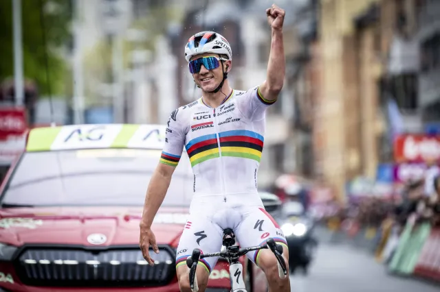 Pojedynek Evenepoela z Roglicem w Giro d'Italia [ZAPOWIEDŹ]