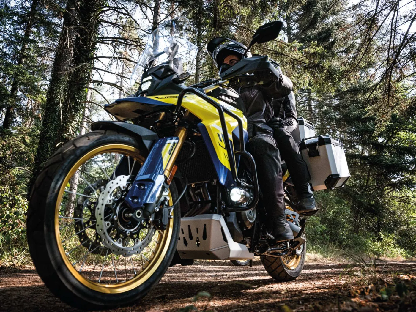 suzuki-dl800de-37804563.jpg