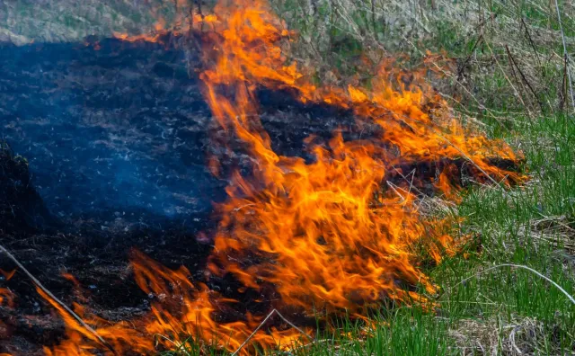 Policja ostrzega. "Wypalanie trawy grozi mandatem do 5 tys. złotych"