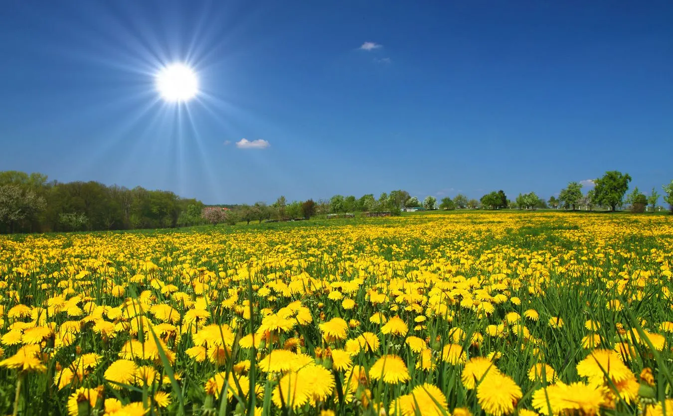 Małe zachmurzenie, wzrost ciśnienia [PROGNOZA POGODY]