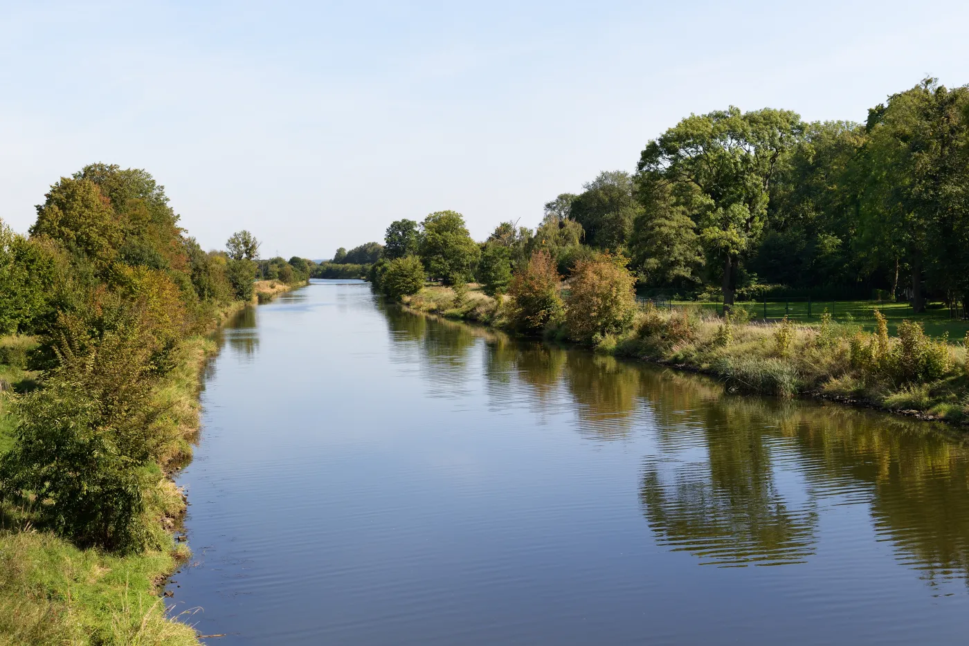 Śnięte ryby w Kanale Gliwickim. MKiŚ: Sztab kryzysowy podjął pilną decyzję