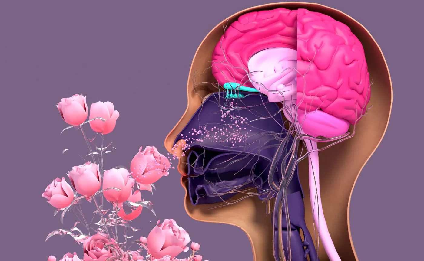 Słaby węch związany z wyższym ryzykiem depresji, demencji i alzheimera