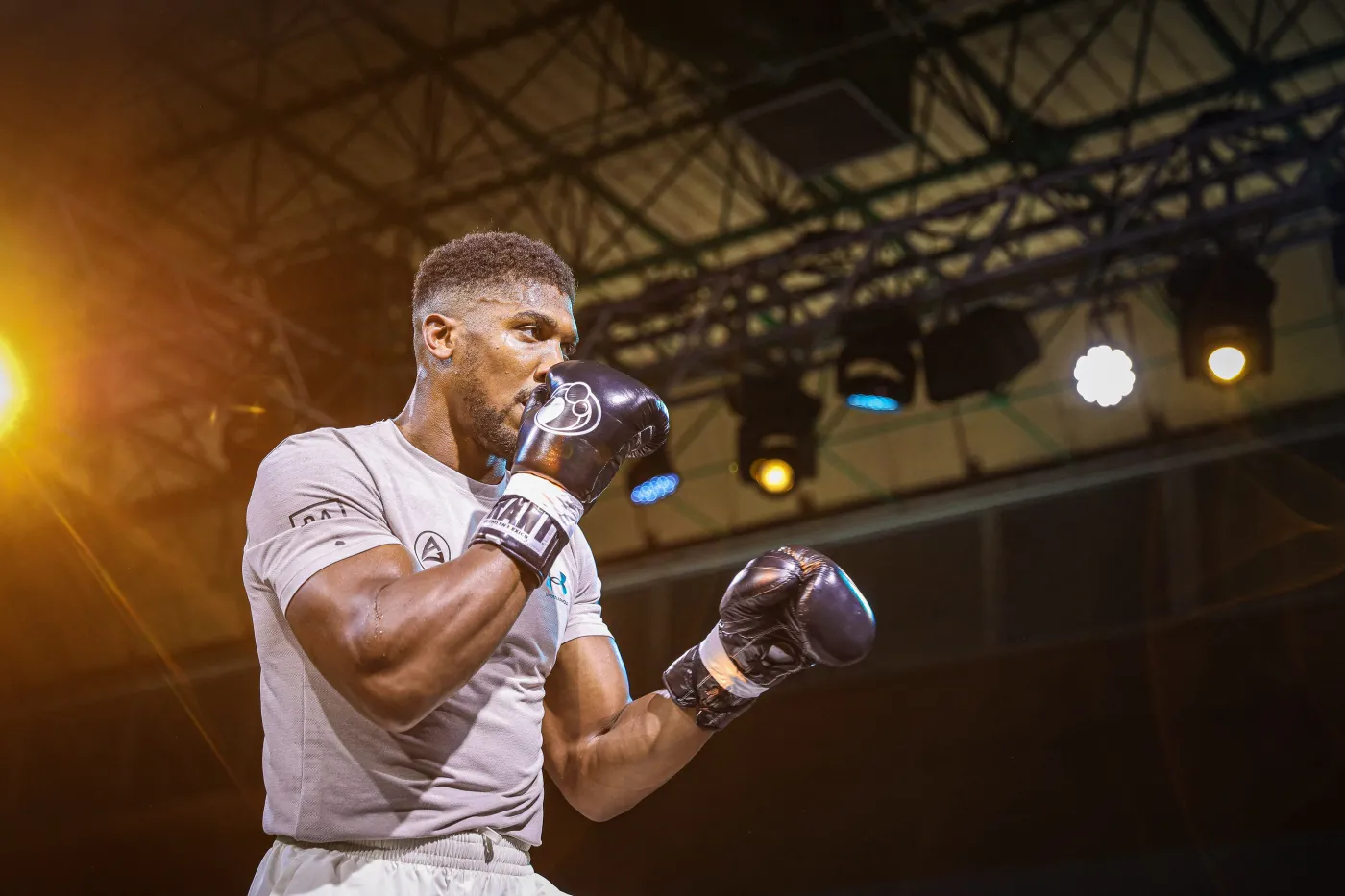 Anthony Joshua i Dilian Whyte znów spotkają się w ringu