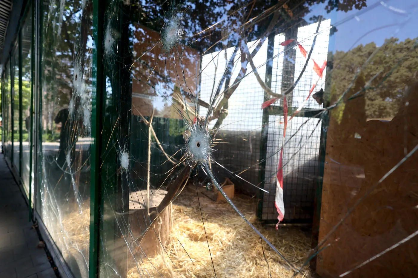 Rosyjscy żołnierze mordowali zwierzęta dla zabawy