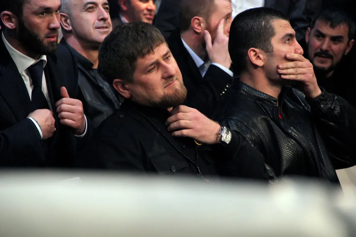 Zazou, koń Ramzana Kadyrowa, zniknął ze stajni w Czechach. "Sprawca usunął łańcuch i..."