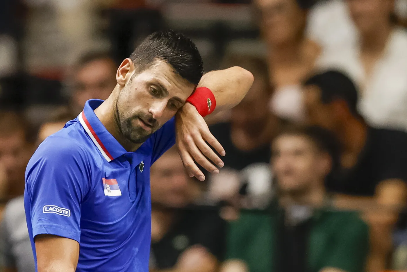 Novak Djokovic zapowiedział, że nie da sobie ogolić głowy