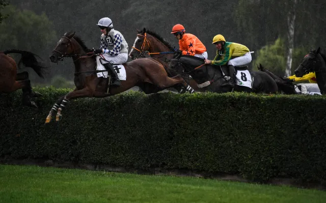 Sacamiro wygrał Wielką Pardubicką. Do mety dobiegło osiem z 18 koni