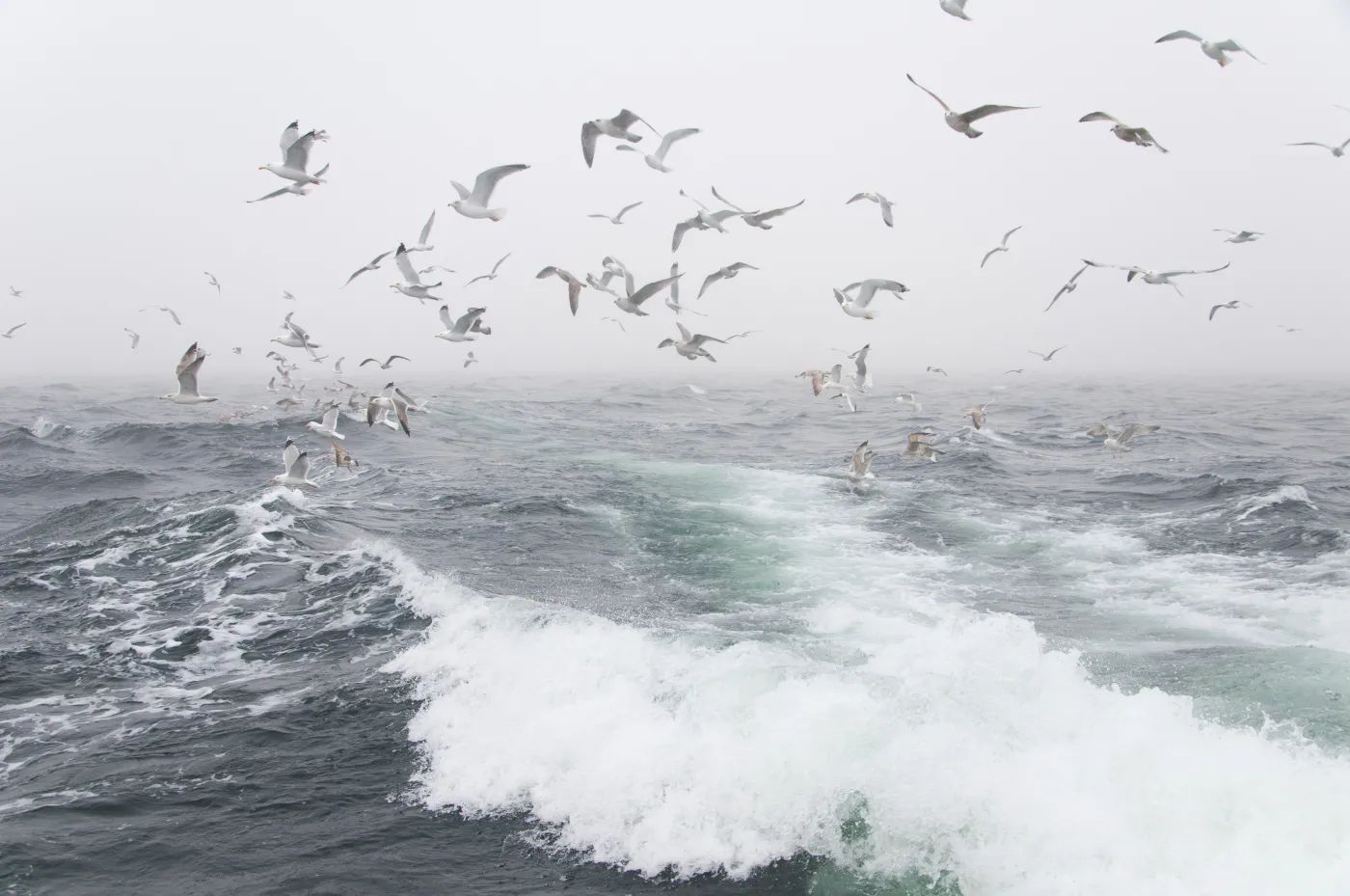 Niewypowiedziana wojna morska Rosji z Ukrainą. "Doskonale widać to na Morzu Azowskim"