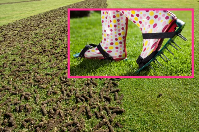 Wiosenna wertykulacja i aeracja trawnika. Jak i kiedy je wykonać?