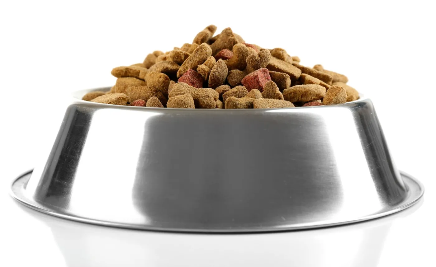 Rewolucja w żywieniu zwierząt domowych. "Pierwsza taka karma na świecie"