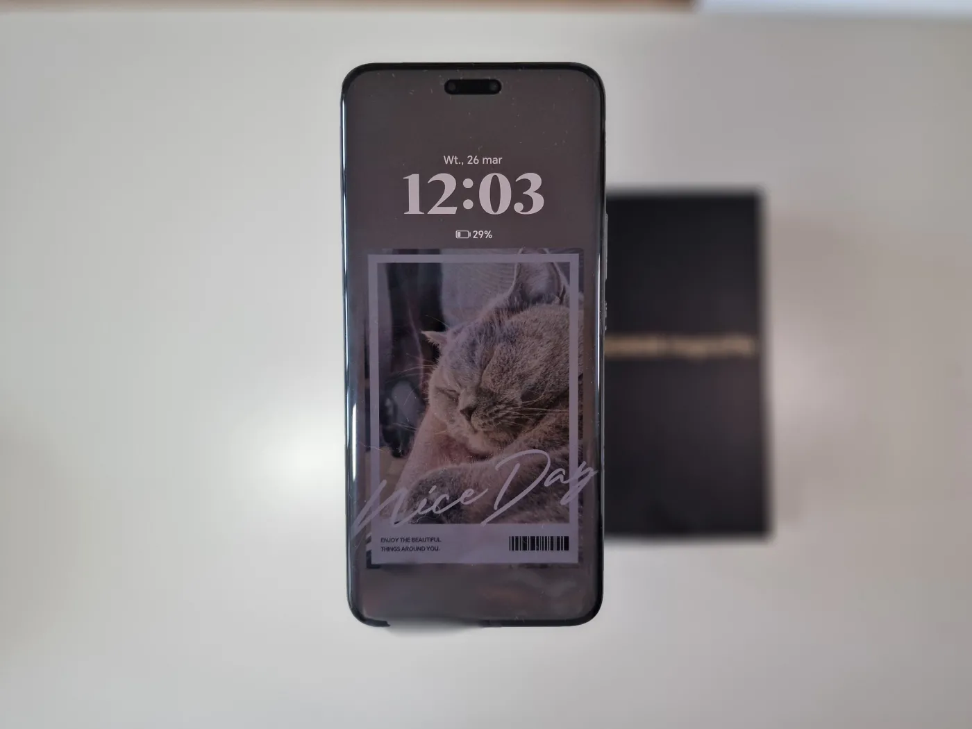 honor-magic6-pro-38148225.jpg