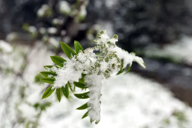 Zima w Tatrach. Na Kasprowym leży prawie metr śniegu