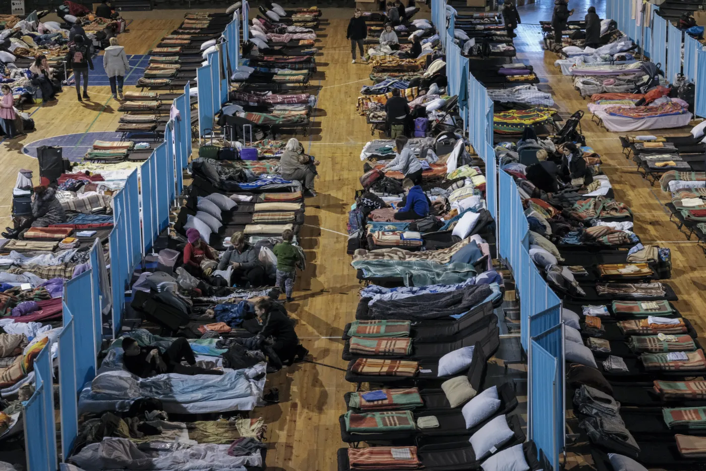 Polacy chcą odsyłać ukraińskich poborowych do ich kraju? Zdania są podzielone