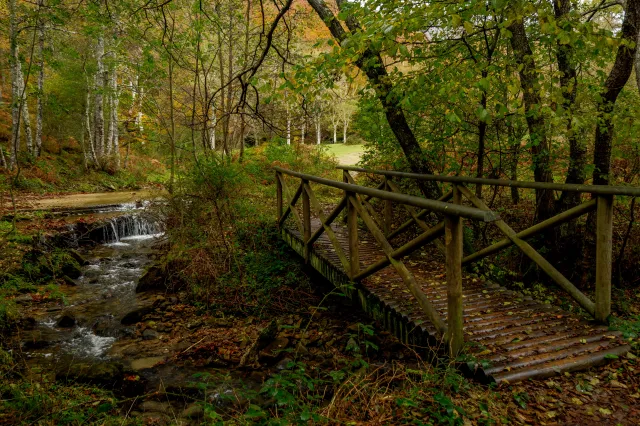 To najlepsze miejsce na relaks. Poprawia samopoczucie i sprzyja odchudzaniu