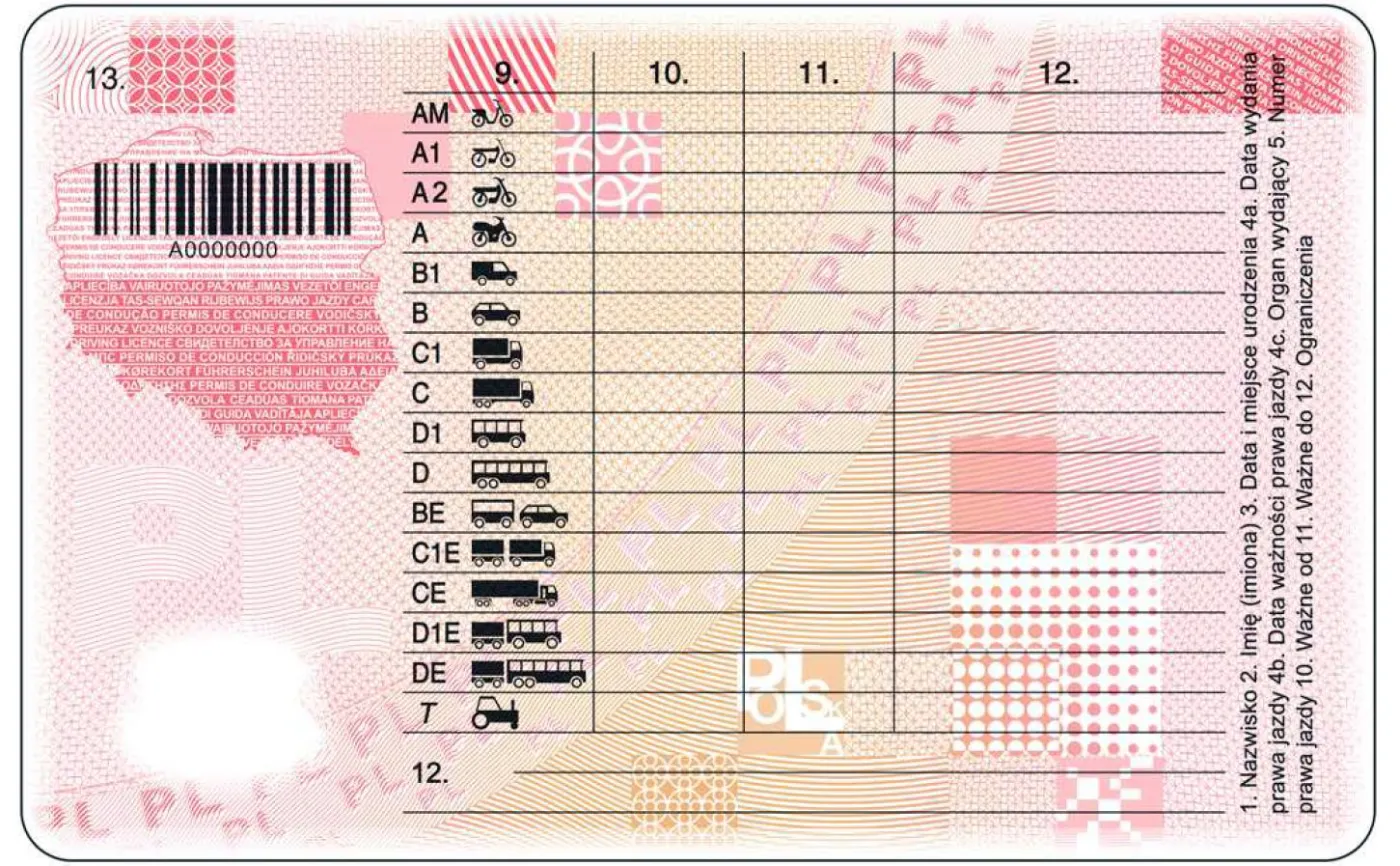 prawo-jazdy-wzor-38267116.jpg