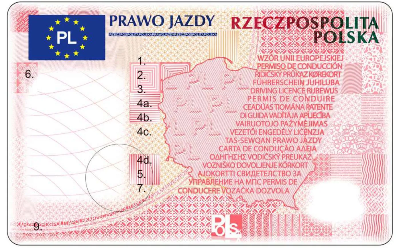 prawo-jazdy-wzor-38267117.jpg