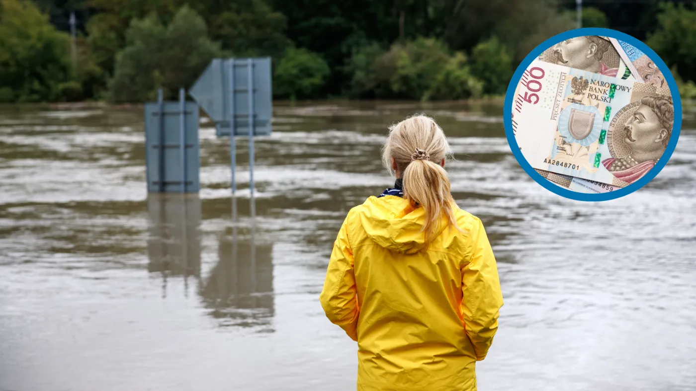 Świadczenie interwencyjne 2024 r. Kto może się ubiegać? Ile wynosi i jak złożyć wniosek?