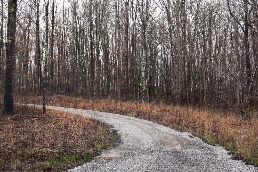 Leśnicy pokazali, co odkryli w lesie. Przykro się na to patrzy