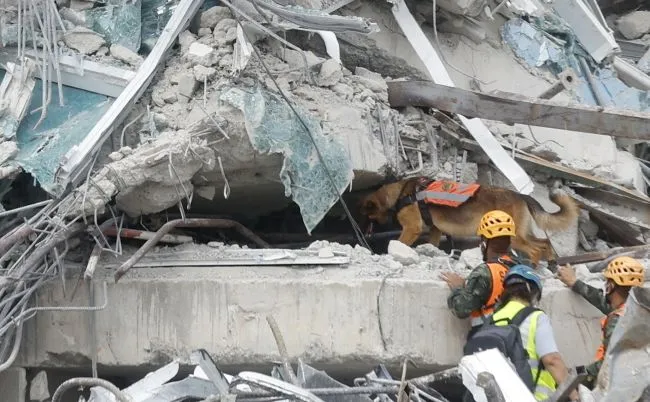 Śmiertelne trzęsienie ziemi w Tajlandii. Rośnie liczba ofiar i zaginionych