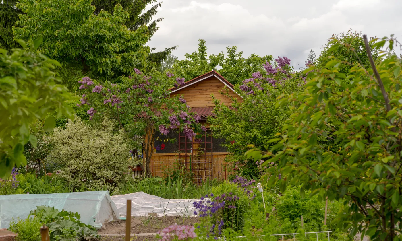Masz działkę? Jeden błąd i fiskus każe zapłacić VAT
