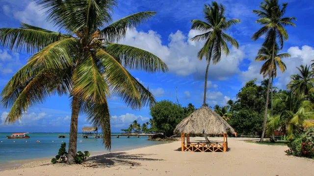 Plaga przestępczości w wakacyjnym raju. "Porywają cudzoziemców"