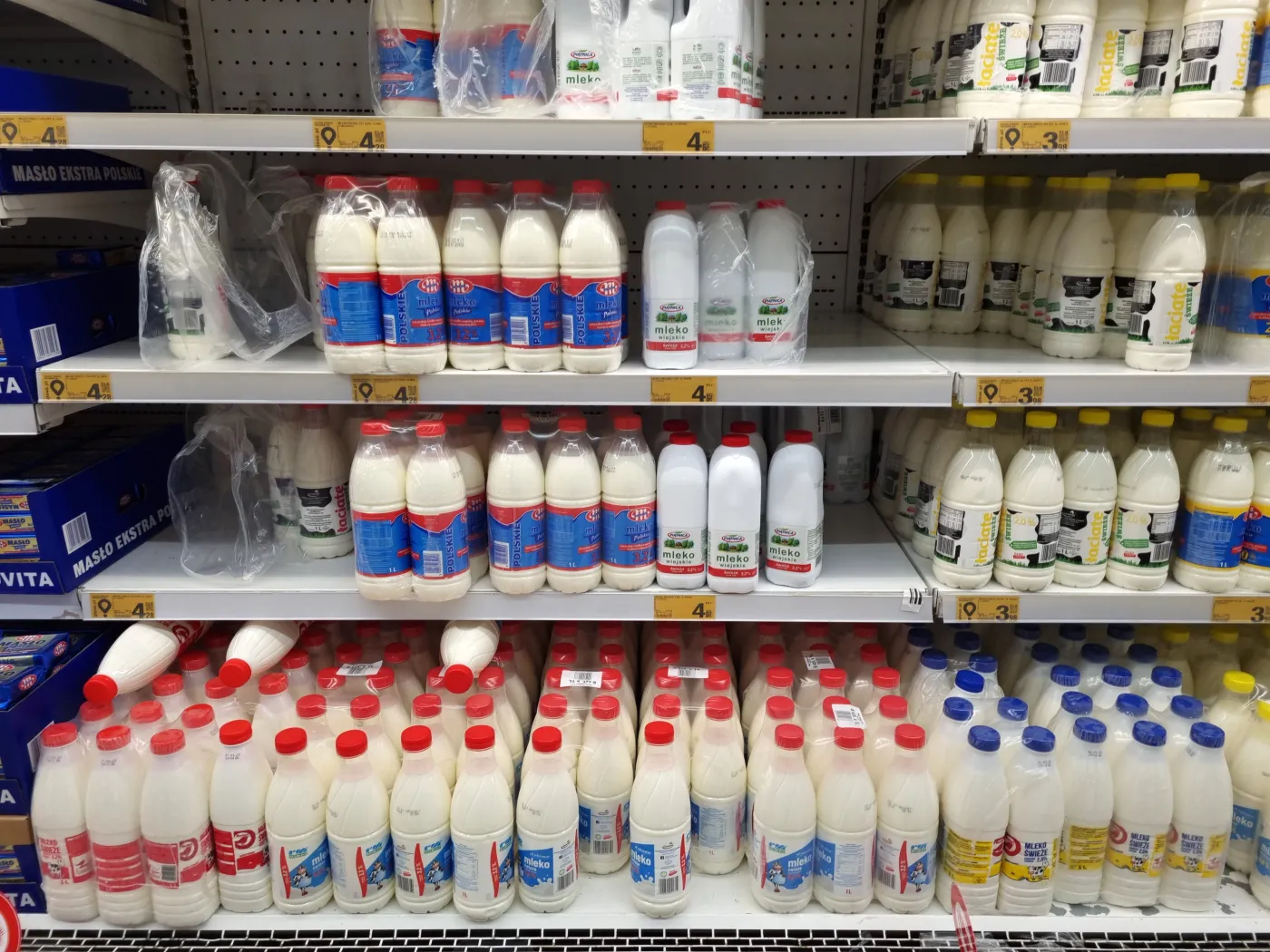 03.09.2023,Wroclaw,,Poland,,Milk,In,A,Bottle,On,A,Dairy