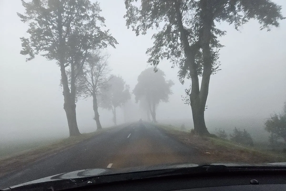 Uwaga na mgły! Prognoza pogody na środę, 15 października