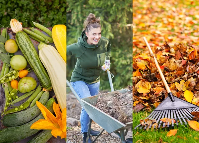 To musisz zrobić w październiku w ogrodzie. Odwdzięczy ci się wiosną [LISTA ZADAŃ]