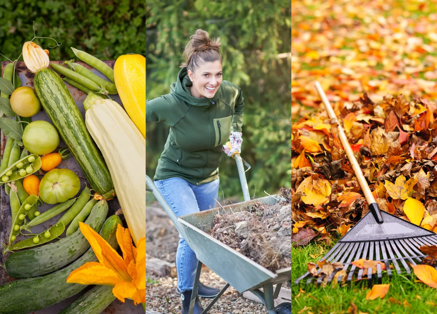 To musisz zrobić w październiku w ogrodzie. Odwdzięczy ci się wiosną [LISTA ZADAŃ]