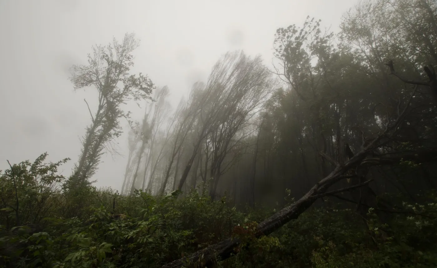 Potężny orkan nad Europą. Pogoda źle wpłynie na nasze samopoczucie