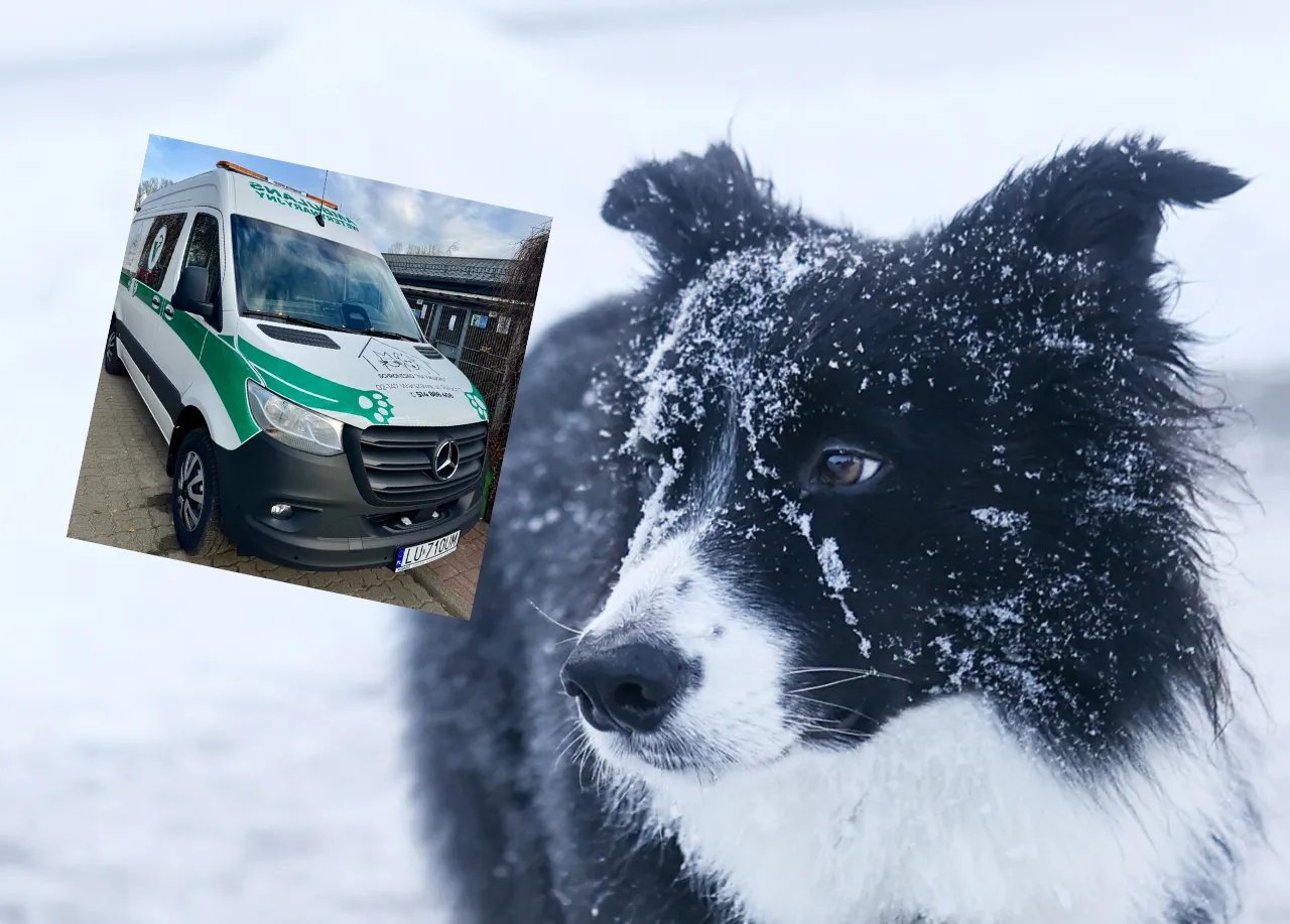 Pierwsza taka karetka w Polsce. Ambulans będzie jeździł ulicami Warszawy