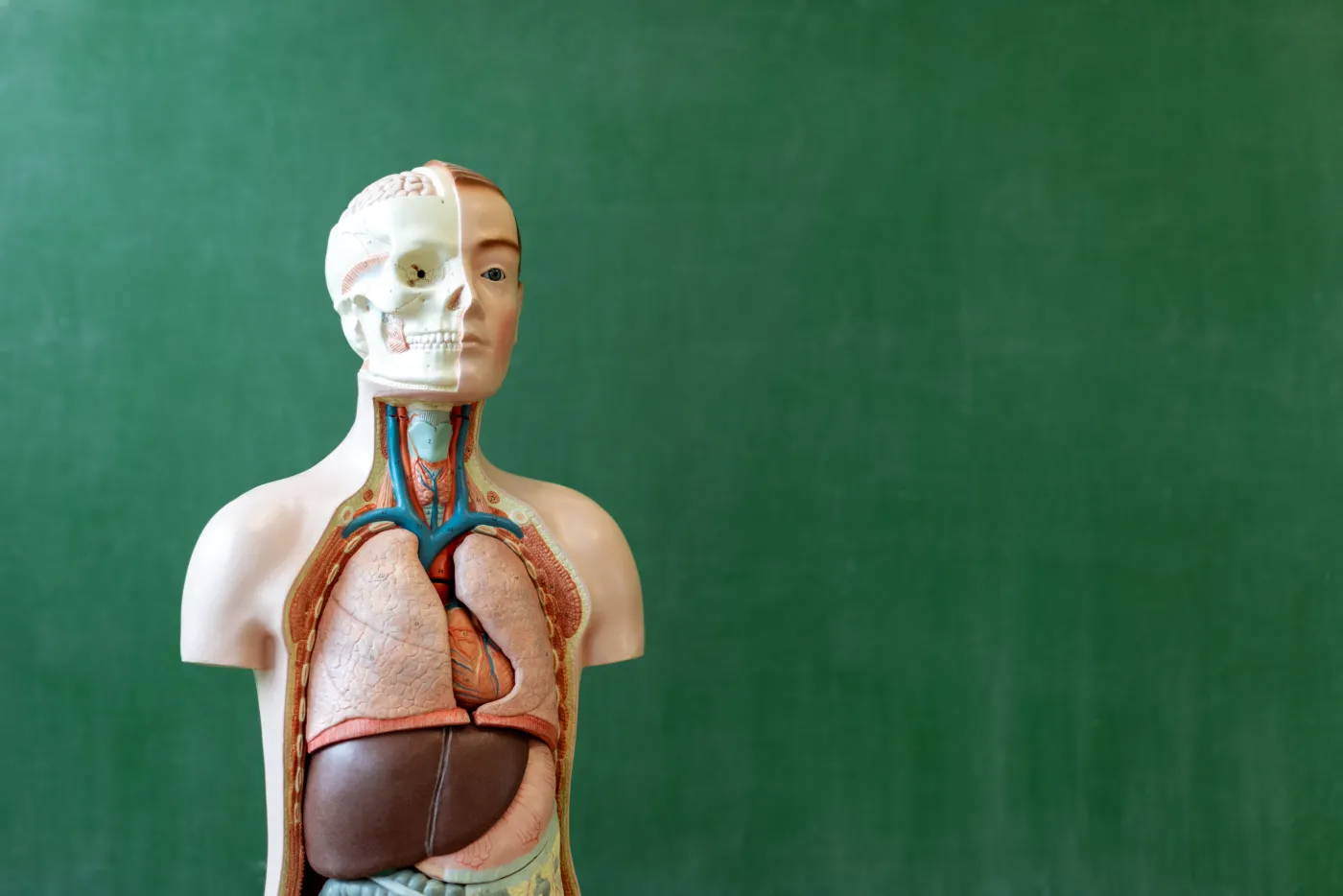 Trudny quiz z biologii. Wynik 20/20 to mistrzostwo