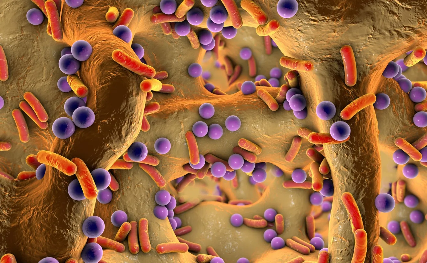 Ten QUIZ z biologii i chemii to nie lada wyzwanie. Zdobędziesz choć 6/10?