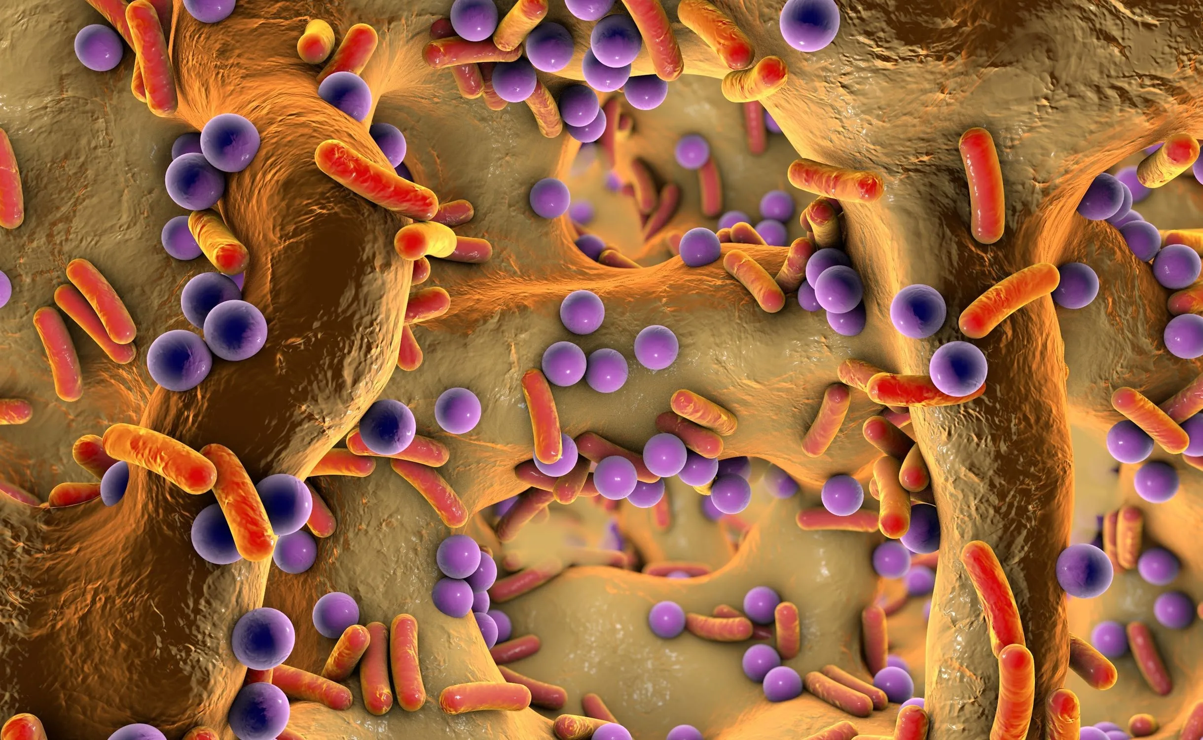 QUIZ z biologii: Tak czy nie? Sprawdź, czy pamiętasz wiedzę ze szkoły