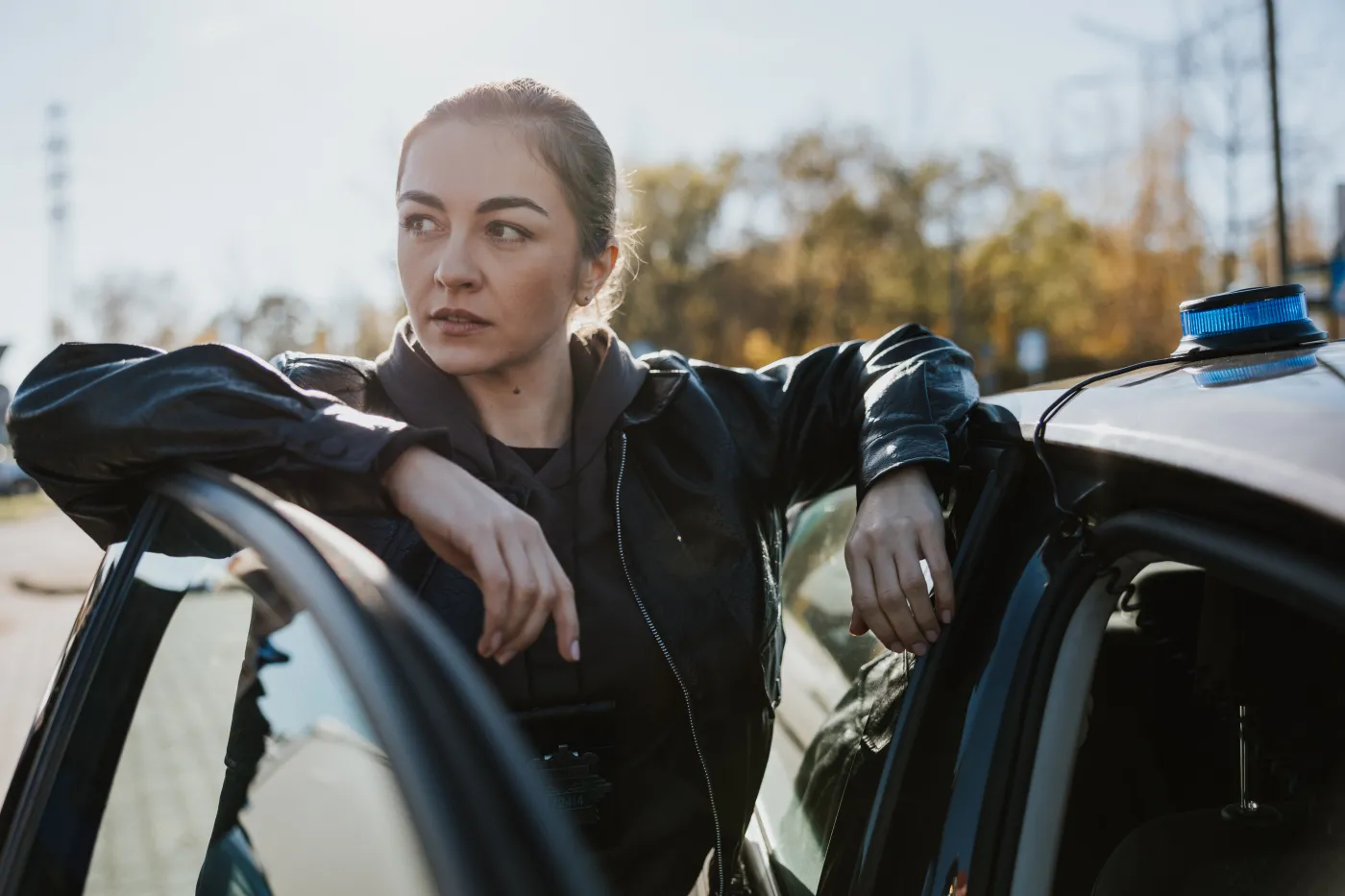 "Gliniarze. Śląsk"