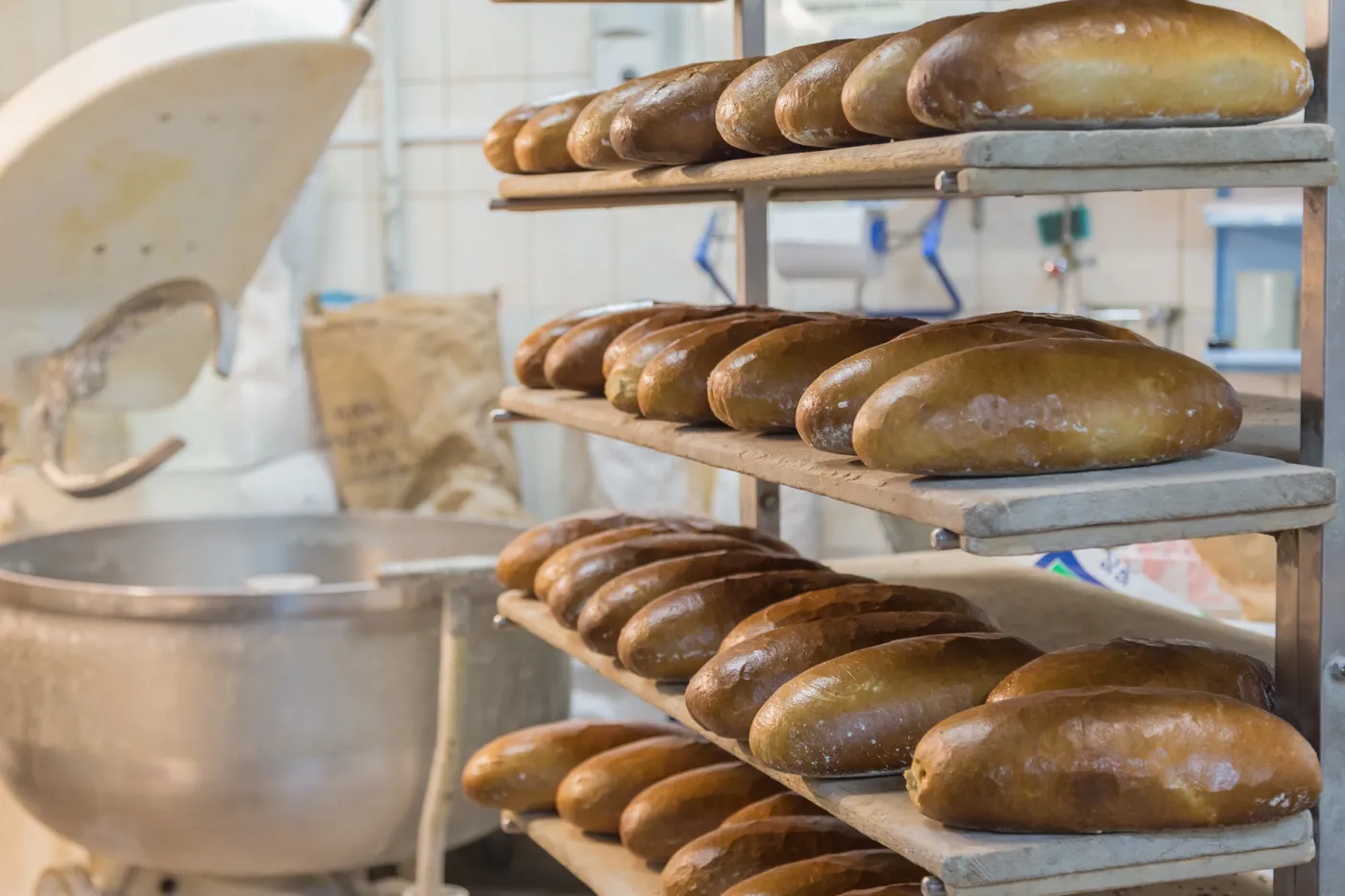 Czy węglowodany sprzyjają tyciu? Nowe spojrzenie na rolę pszenicy i chleba w diecie