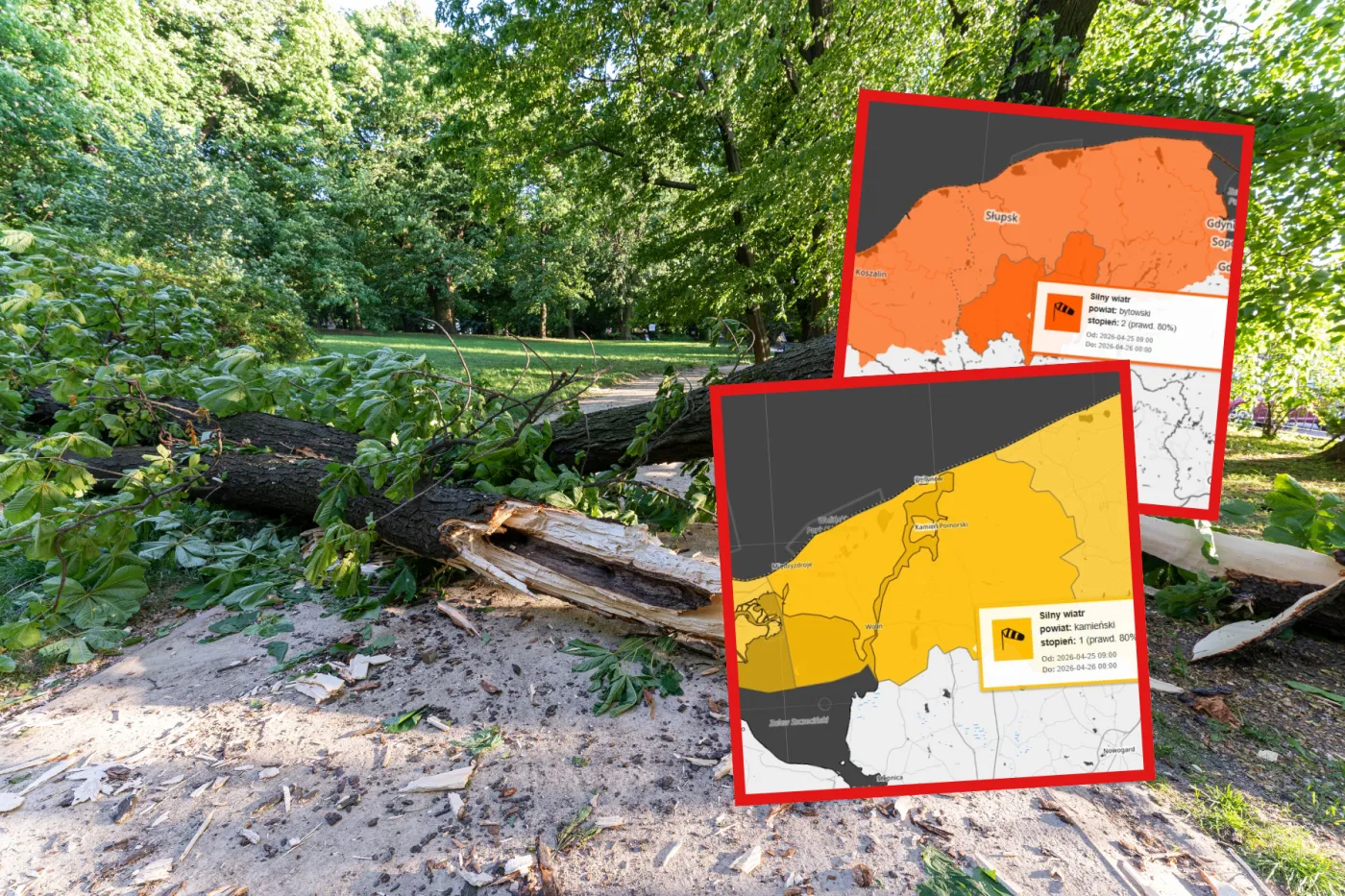 Alert RCB i ostrzeżenia IMGW dla trzech województw. Wiatr może być bardzo groźny