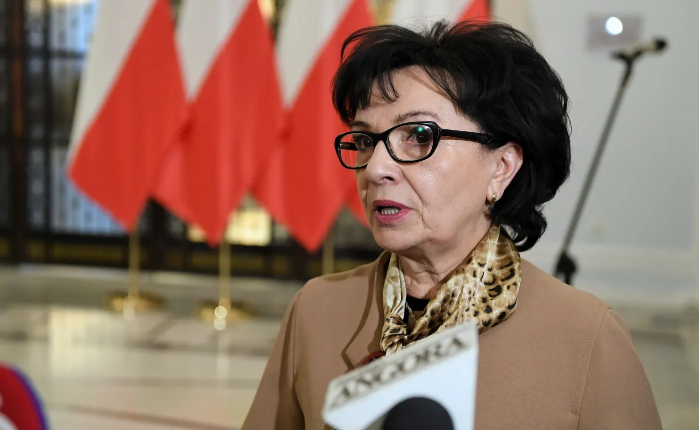 Witek: Żaden rząd nie zrobił tak wiele dla zdrowia Polaków