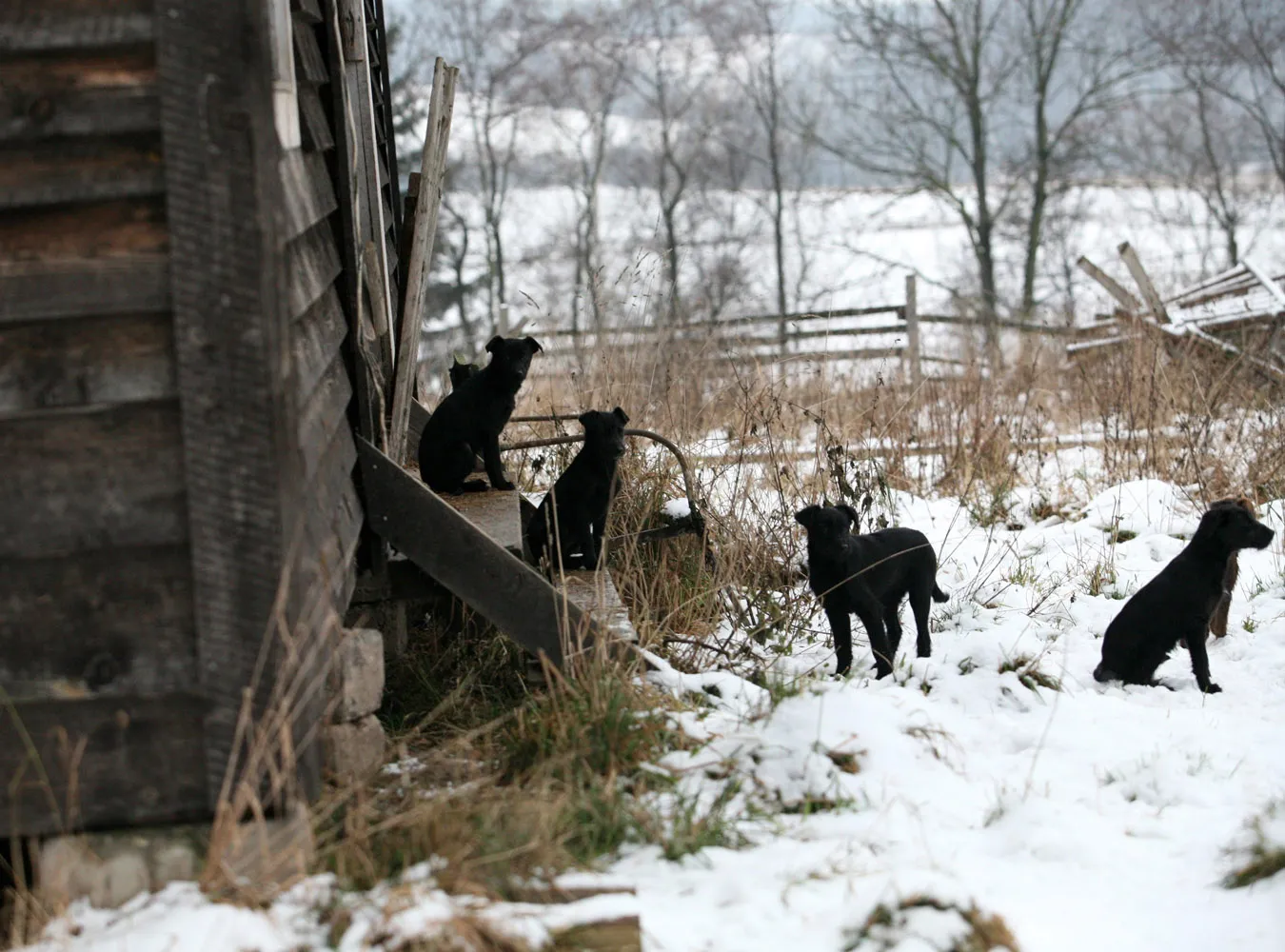 30.11.2007 - Lewin Klodzki 

nz Posesja Violetty Villas 



UWAGA ZDJECIA WYKONANE BEZ ZGODY I WIEDZY OSOB FOTOGRAFOWANYCH. PUBLIKACJA WIZERUNKU  NA WYLACZNA ODPOWIEDZIALNOSC REDAKCJI



Fot. Michal Trojanowski  EDYTOR.net