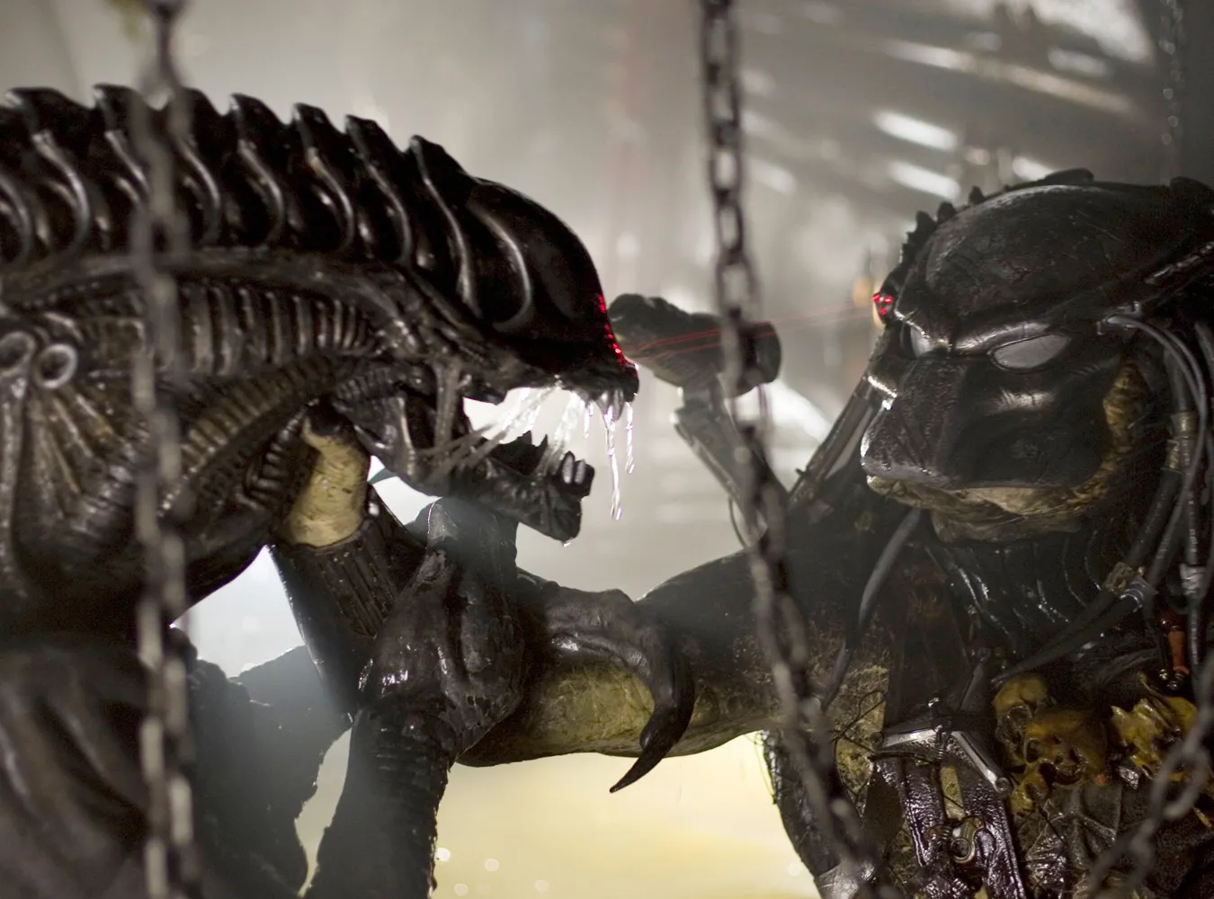 W kinach Obcy kontra predator