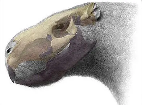 Naukowcy znaleźli kilkutonowego szczura