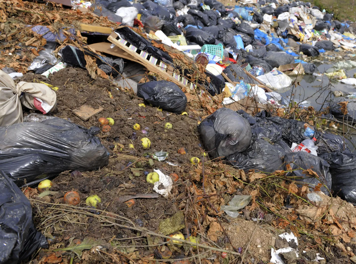 Śmieci z Niemiec lądują w naszych lasach