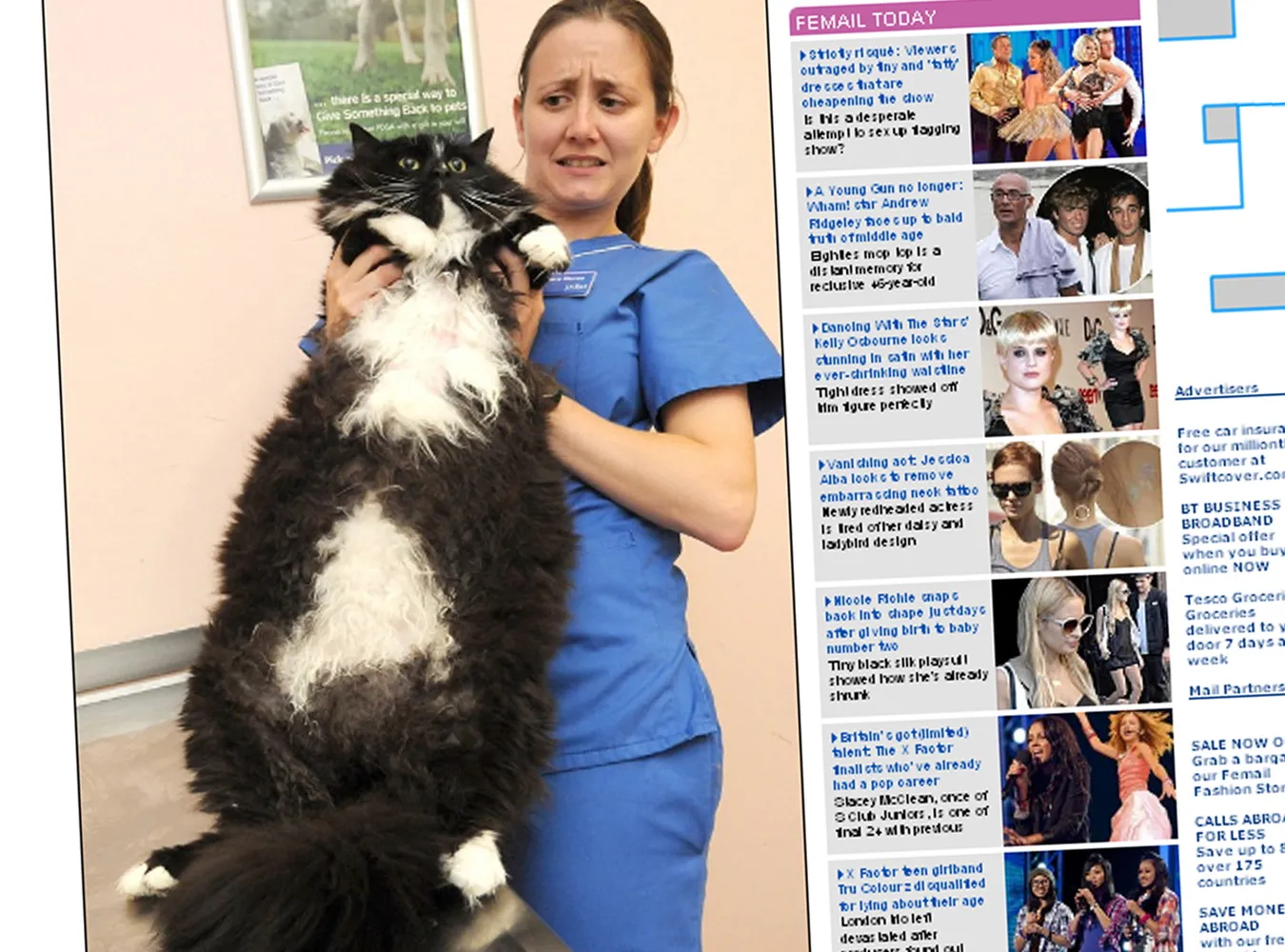 Ten kot to gigant. Waży 10 kilogramów!