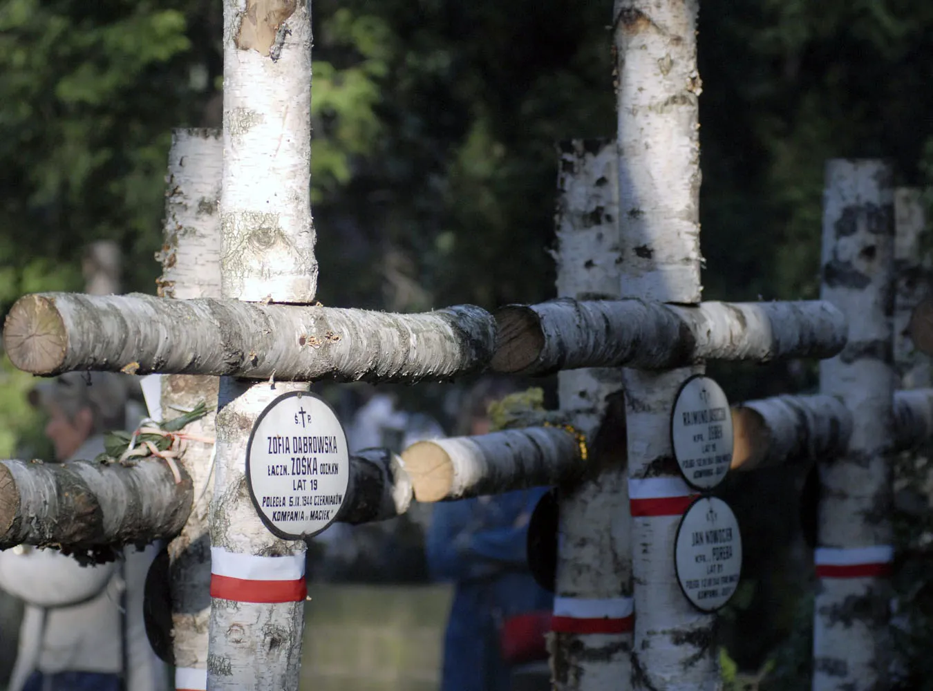 Powstańcy do polityków: Marsz na drugi plan