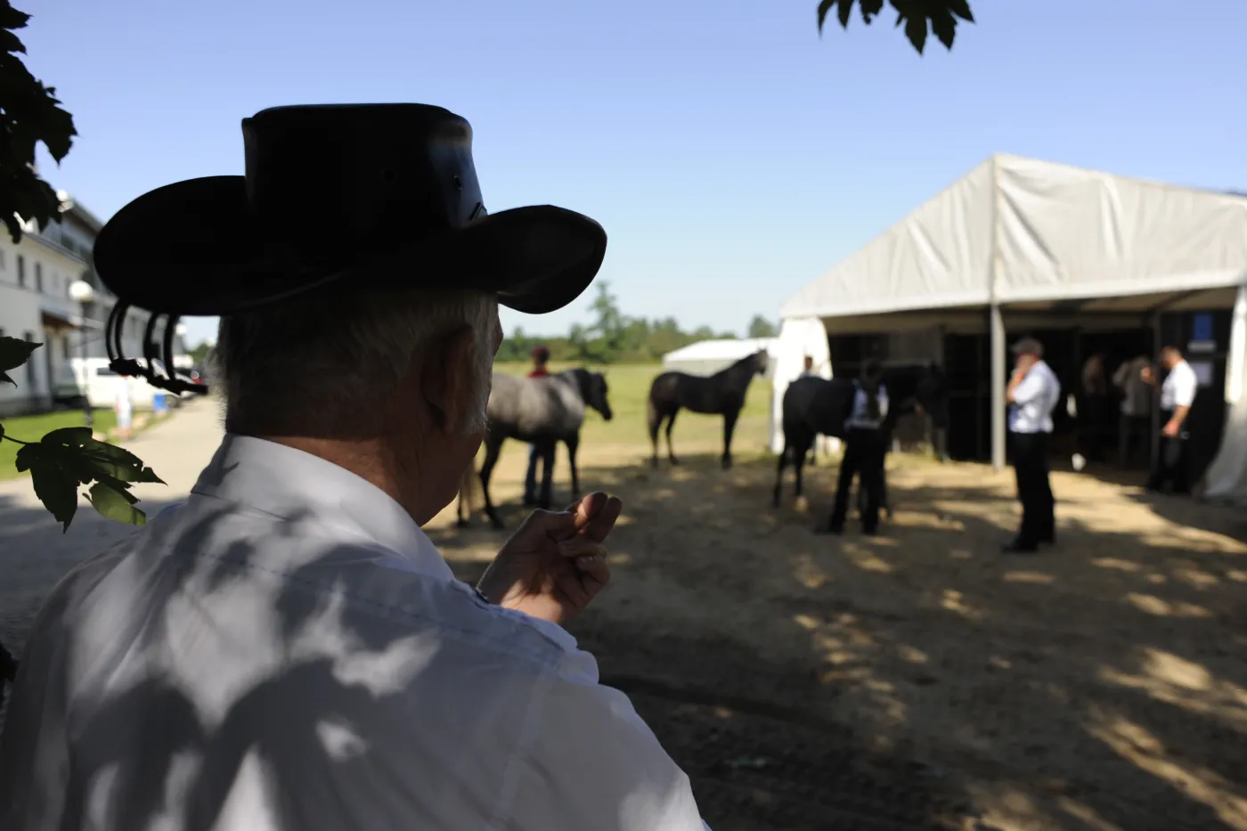 Jubileuszowa licytacja w Janowie