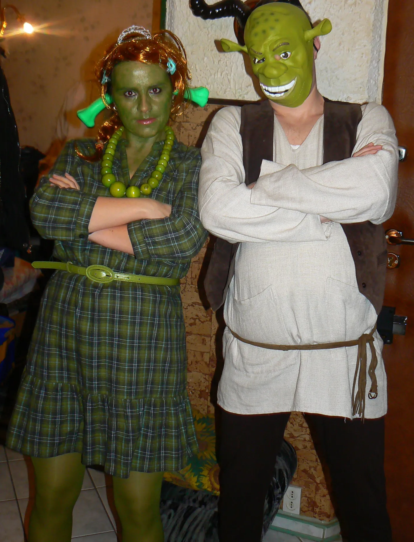 shrek_i_fiona_273630a_518463.jpg