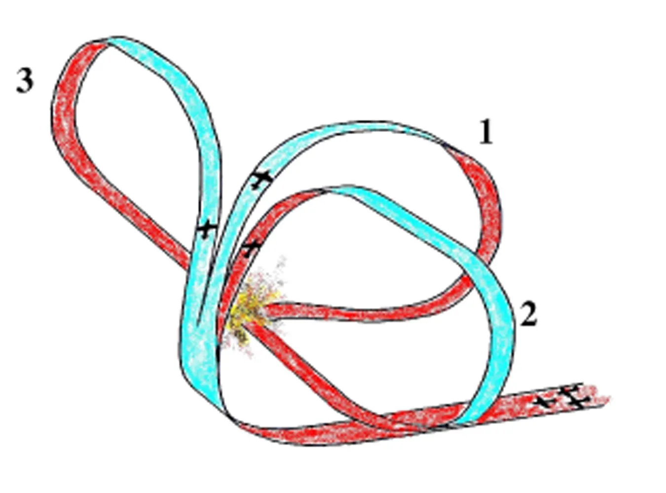 Zanim zginął, zdążył tylko krzyknąć: "Jezu"