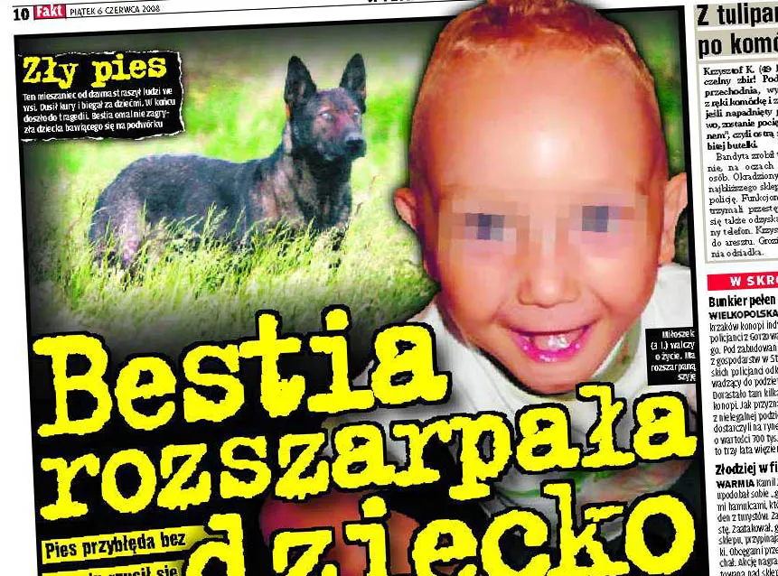 Bestia rozszarpała dziecko