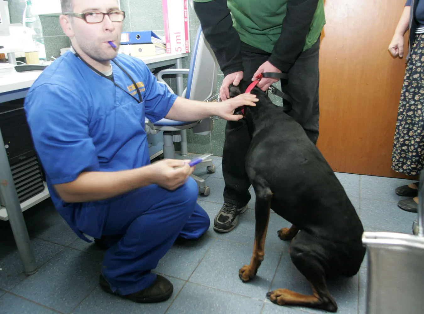 Elektroniczne "dowody" dla wszystkich psów