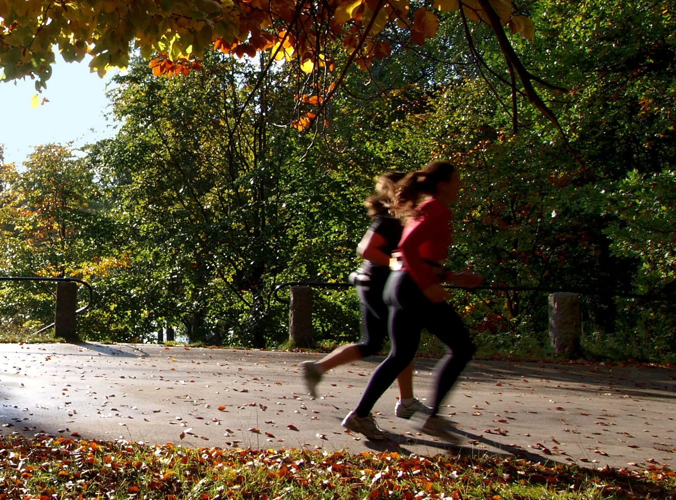 Poranny jogging lekiem na stresującą pracę